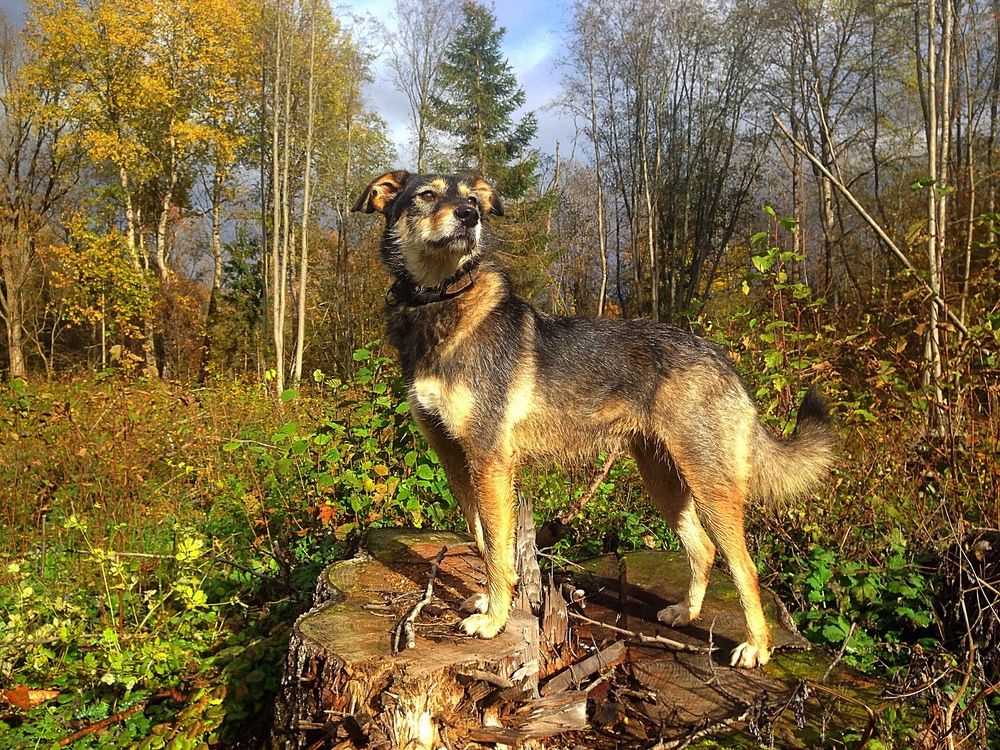 Photograph by Елена Смирнова