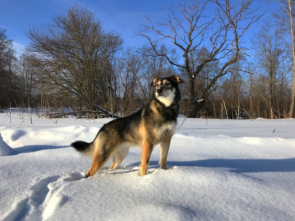 Photograph by Елена Смирнова