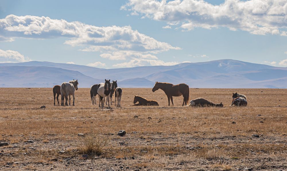 Photograph by Елена Павлова