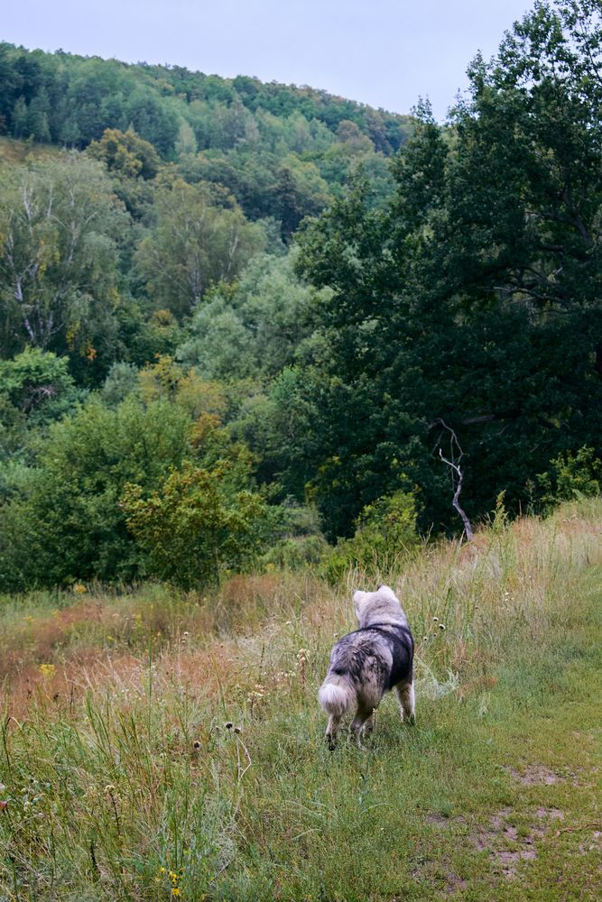 Photograph by Александр Лиманский
