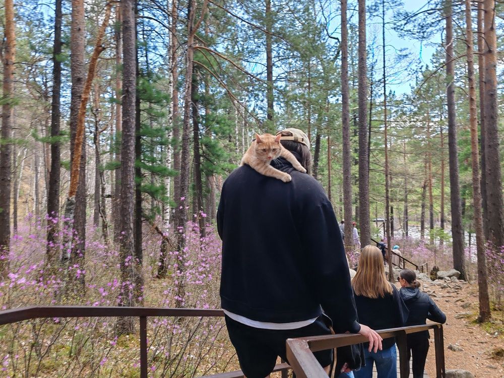 Photograph by Алёна Гильмуллина