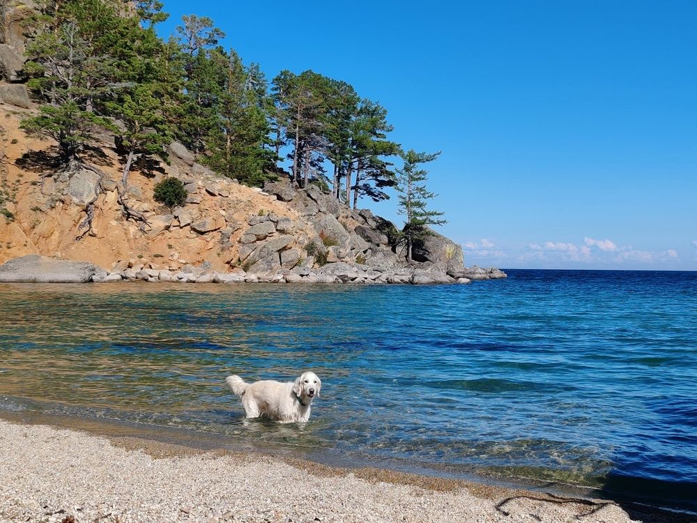 Photograph by Алёна Гильмуллина