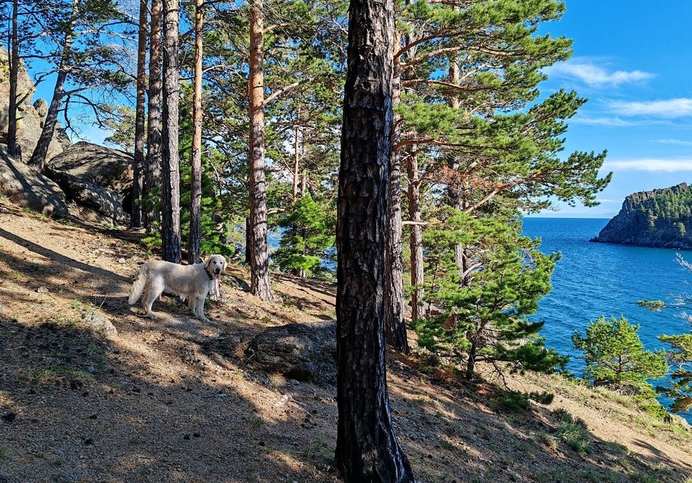 Photograph by Алёна Гильмуллина