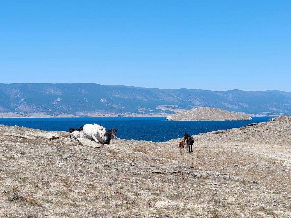 Photograph by Алёна Гильмуллина