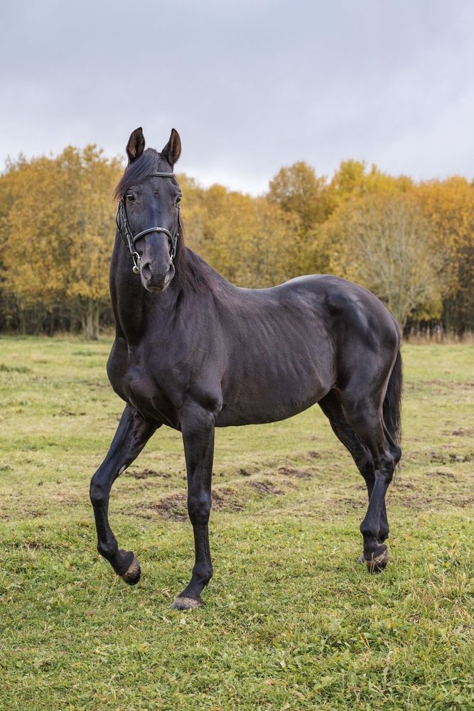 Photograph by Юлия Сидорова