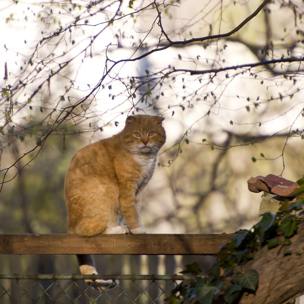 Photograph by Галина Крымская