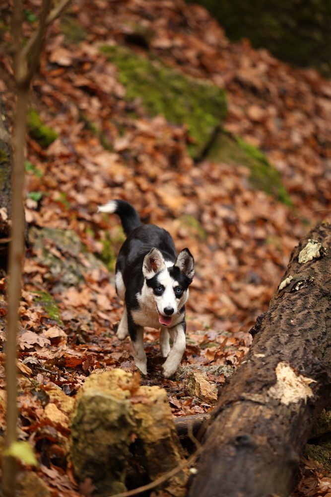 Фотография автора Иван Безрядин