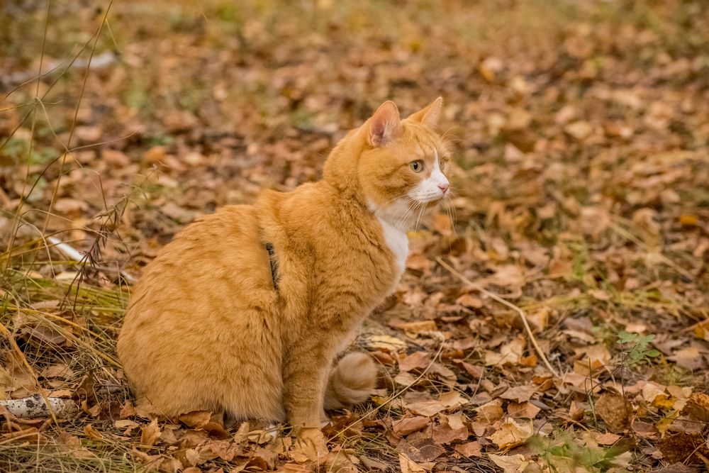 Photograph by Ирина