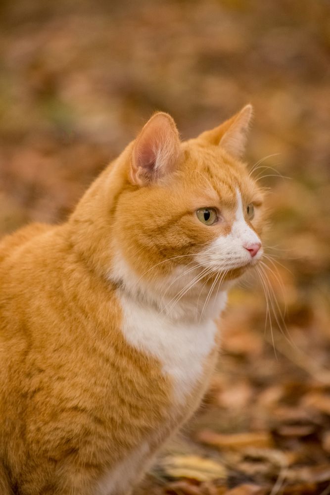 Photograph by Ирина