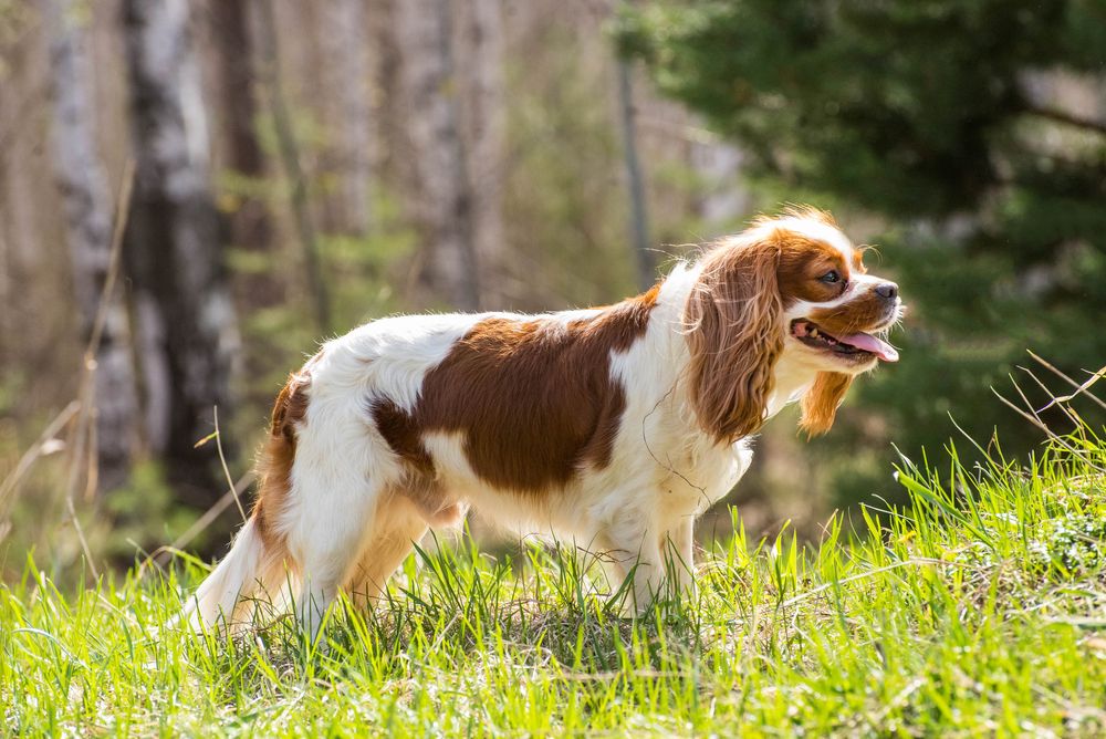 Photograph by Ирина