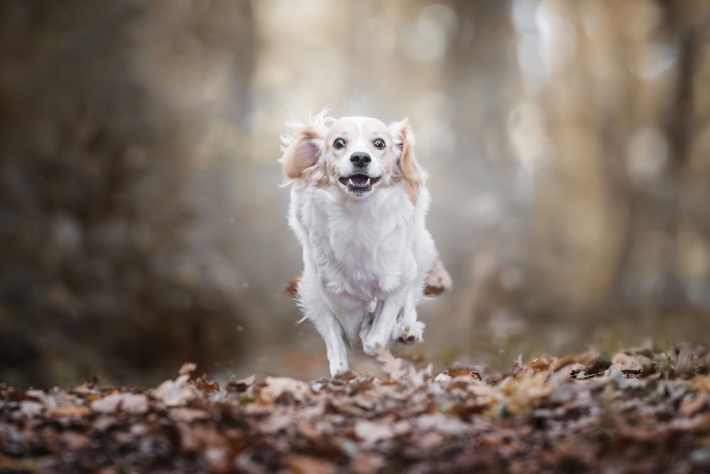 Photograph by Alessandro Magarò