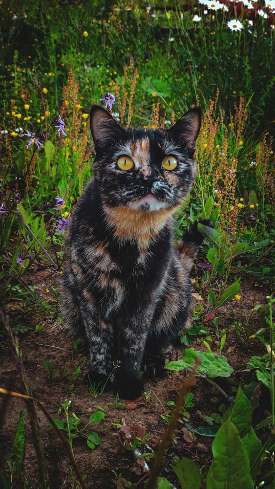 Photograph by Екатерина Никитина