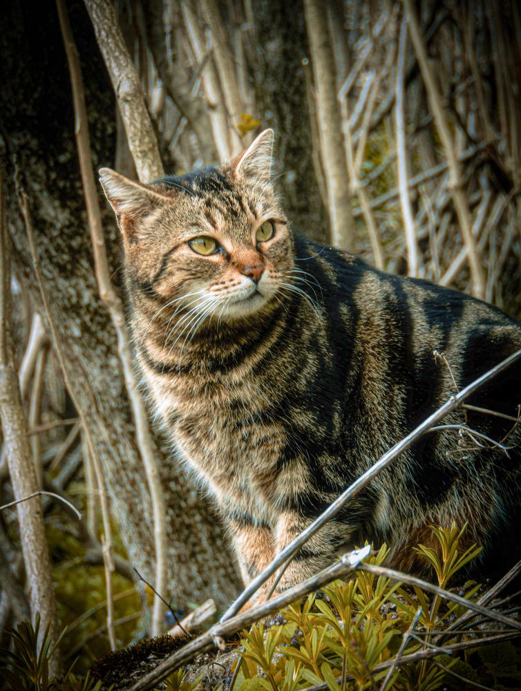 Фотография автора Еремеева Лада