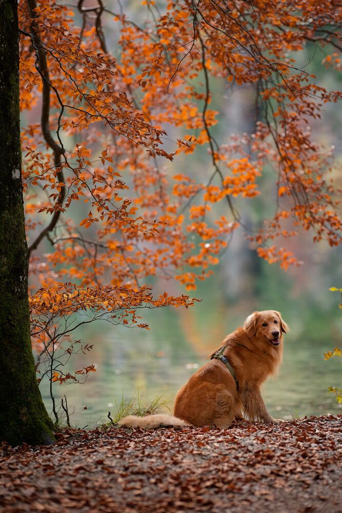 Photograph by Maja Esch