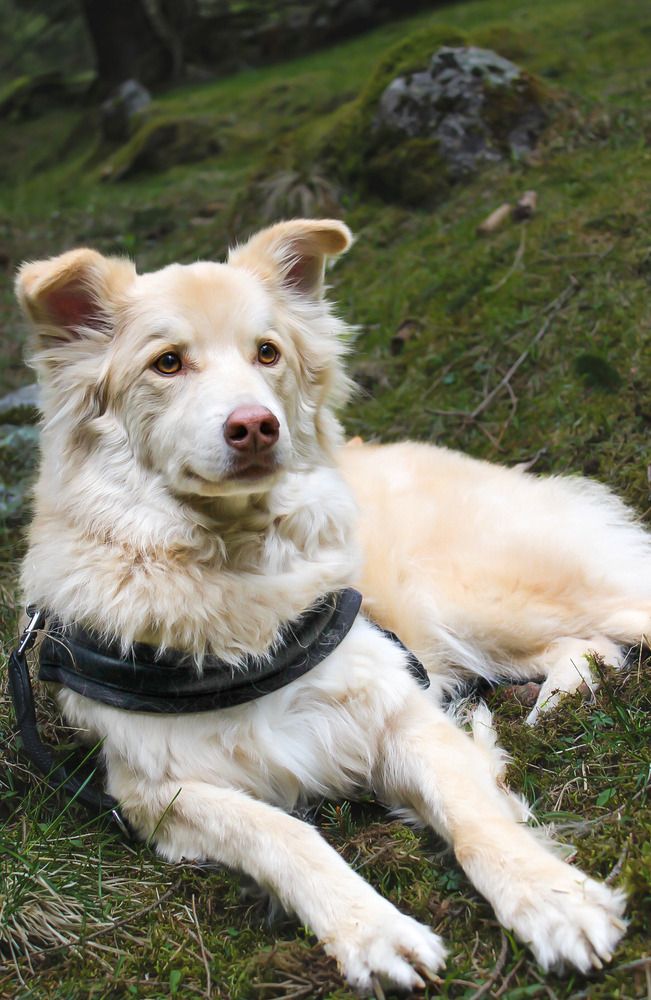 Photograph by Denise Bettoni