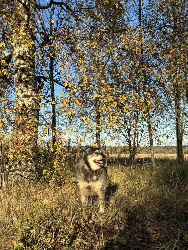 Photograph by Елена Смирнова