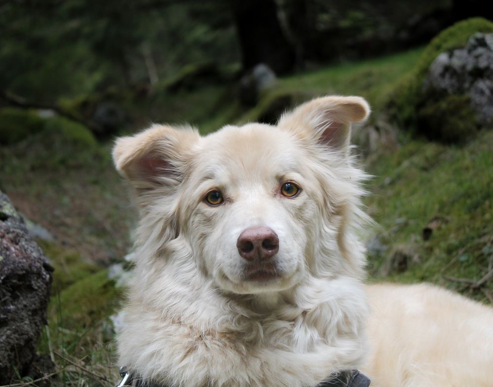 Photograph by Denise Bettoni