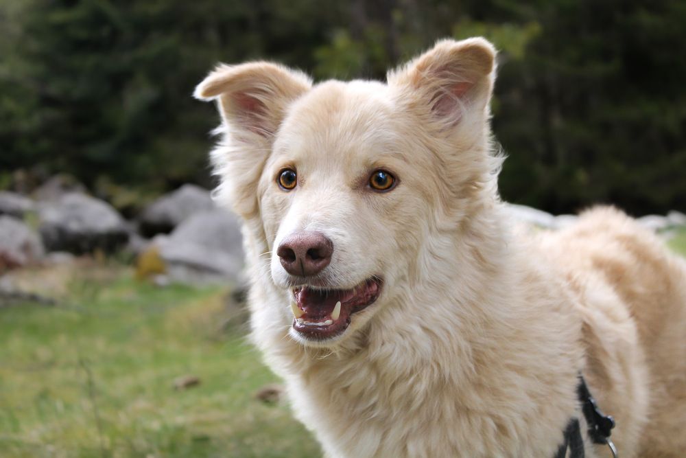 Photograph by Denise Bettoni