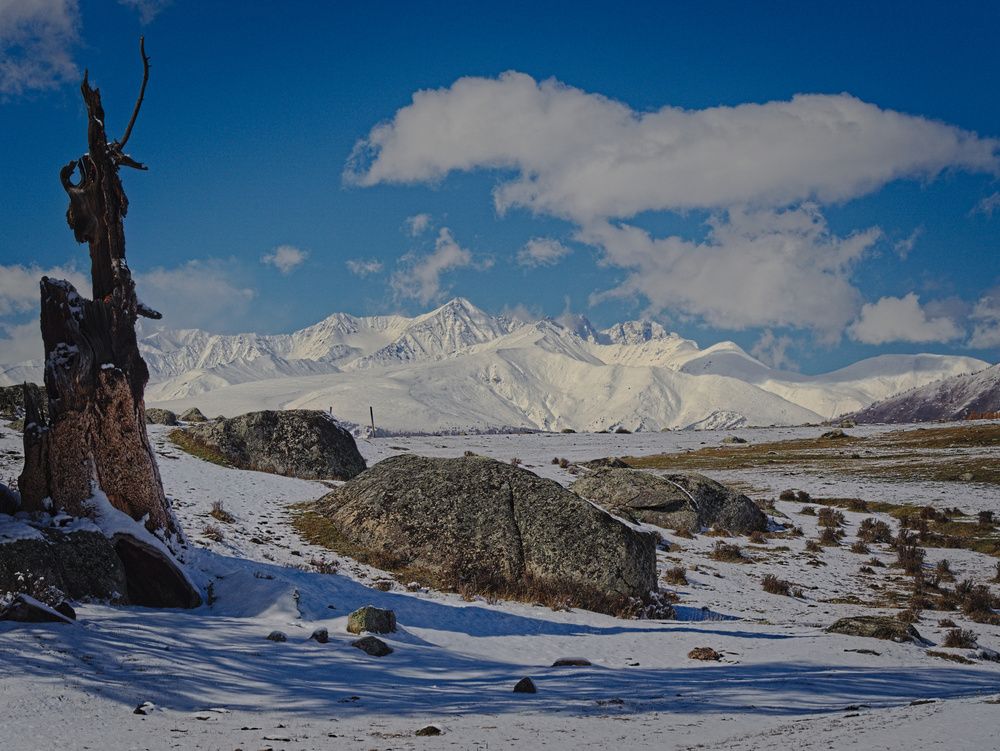 Photograph by Андрей Куприенко