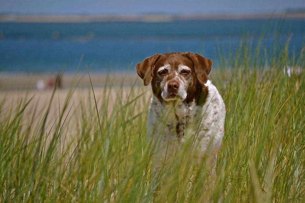 Photograph by Marjo Steffen