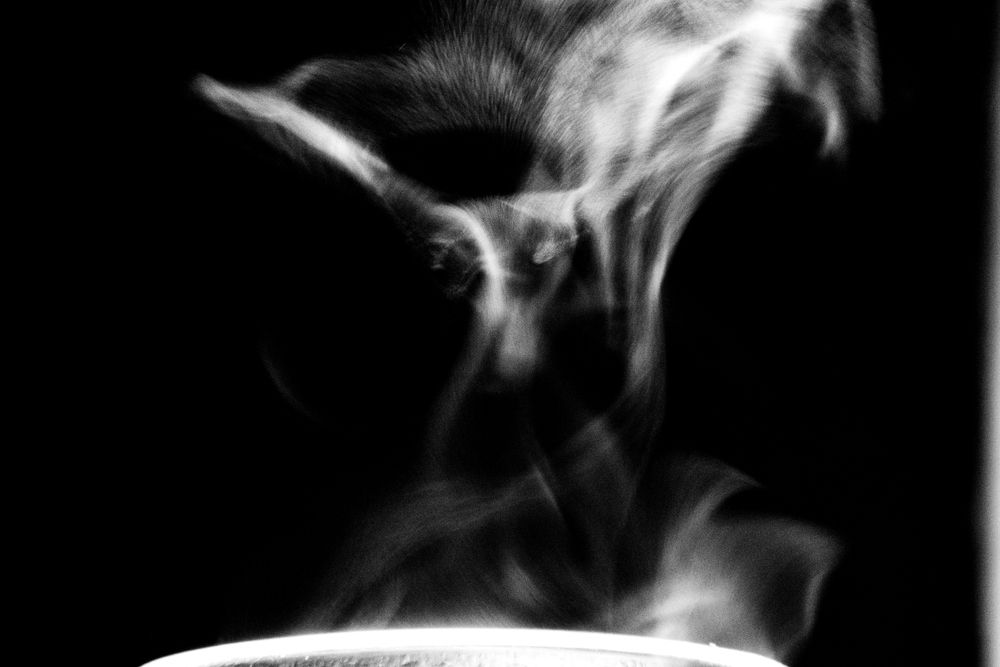 Photograph by Mark Robert Fruhauf