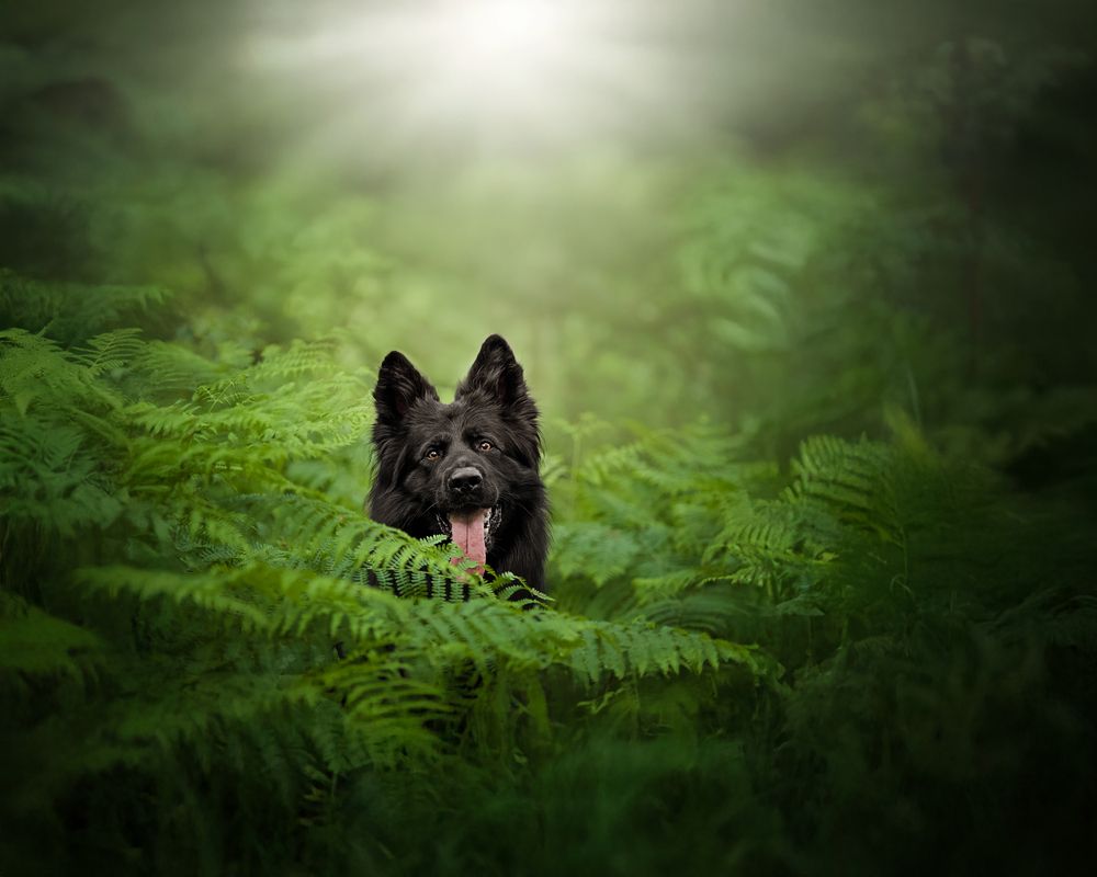 Photograph by Natalie Taylor