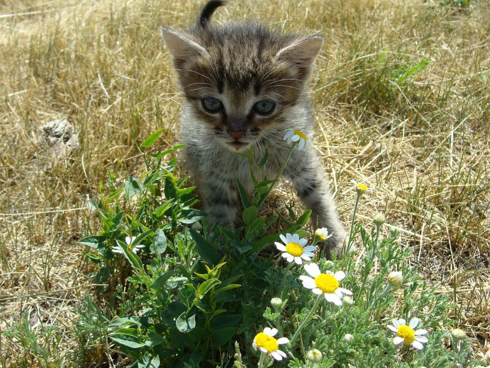 Фотография автора Павел Попов
