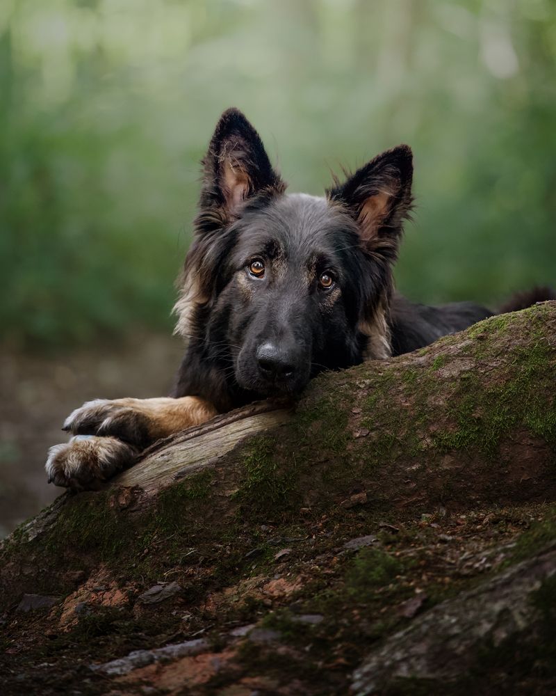 Photograph by Natalie Taylor