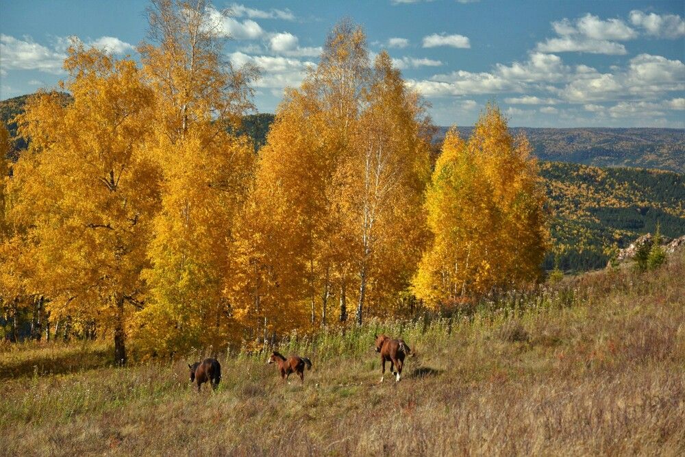 Photograph by Анатолий Каминский