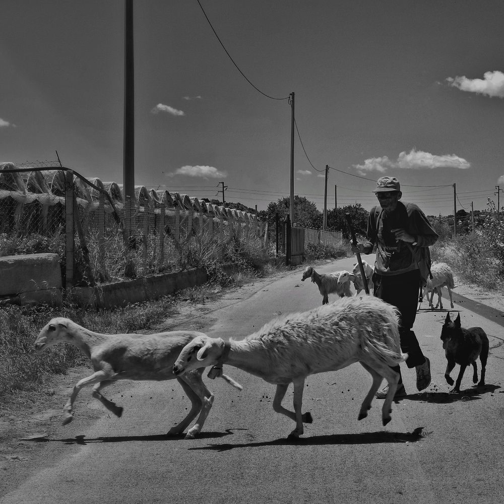 Фотография автора Vincenzo Tedesco