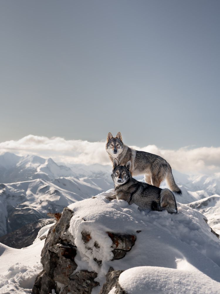 Фотография автора Sara Luengo Villa