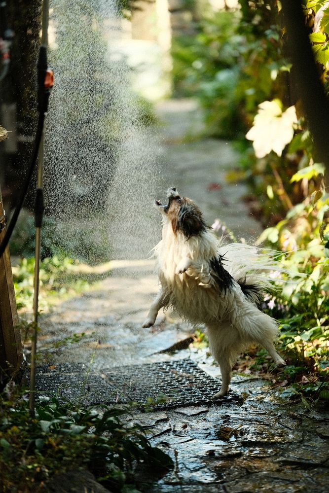 Photograph by Алексей Хасанов