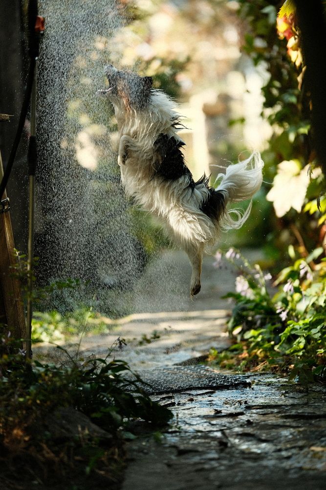 Photograph by Алексей Хасанов