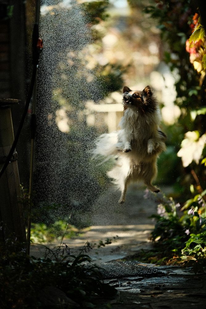 Photograph by Алексей Хасанов