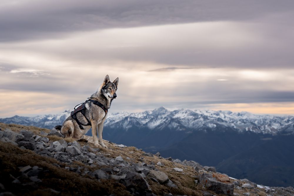 Фотография автора Sara Luengo Villa