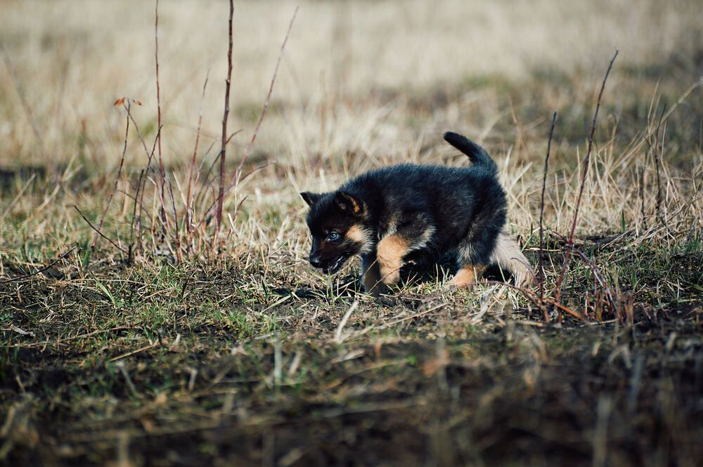 Photograph by Константин Громов