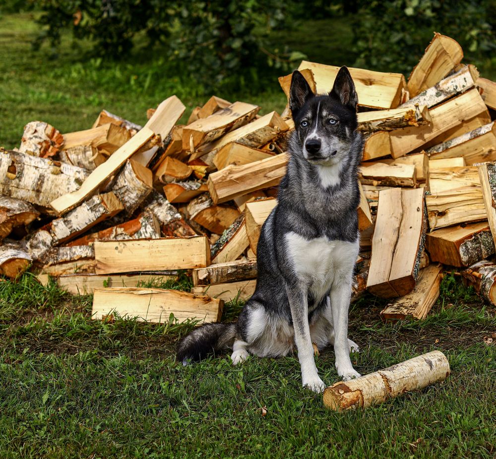 Photograph by Елена Одынец