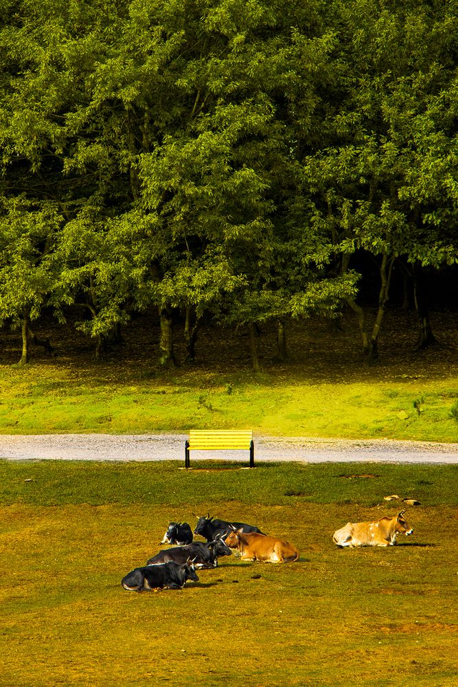 Photograph by Arvin Azs