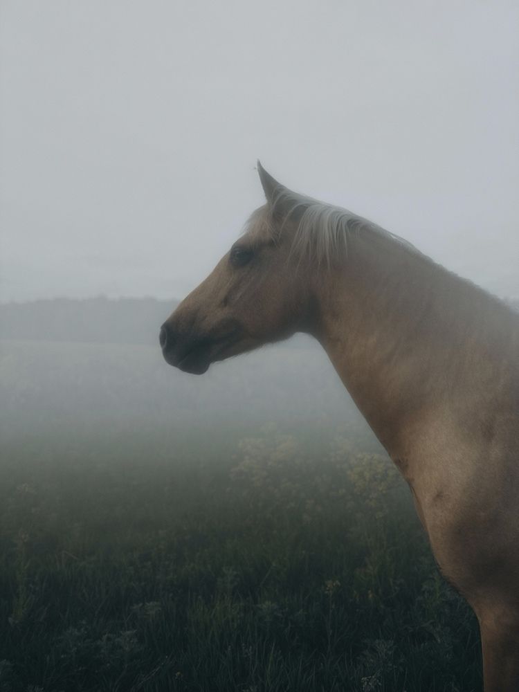 Photograph by Ксения Гулькова