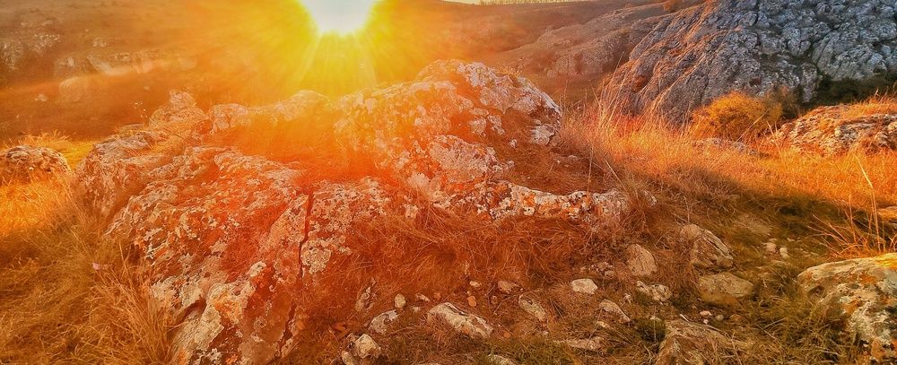 Photograph by Liviu Cojocaru
