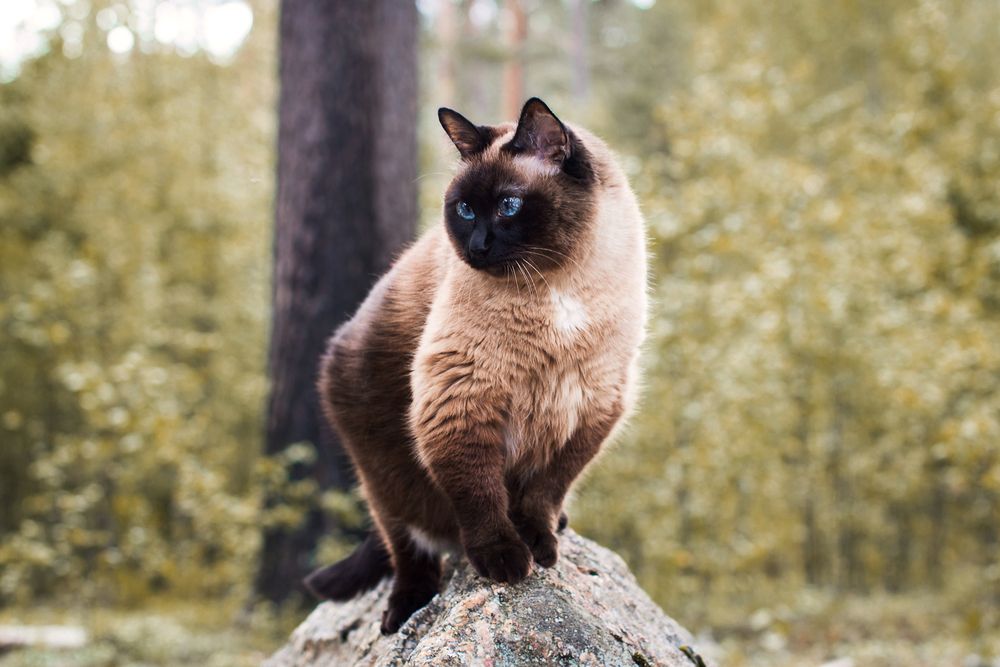 Photograph by Алина Стемковская