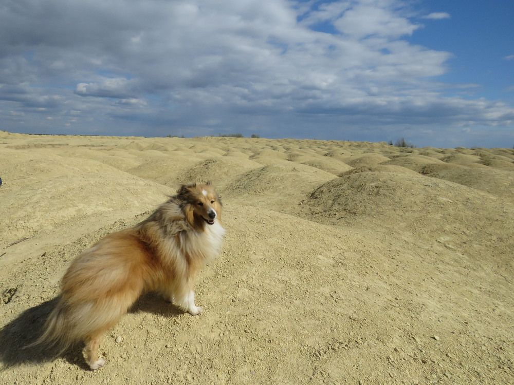 Photograph by Валерия Яскович