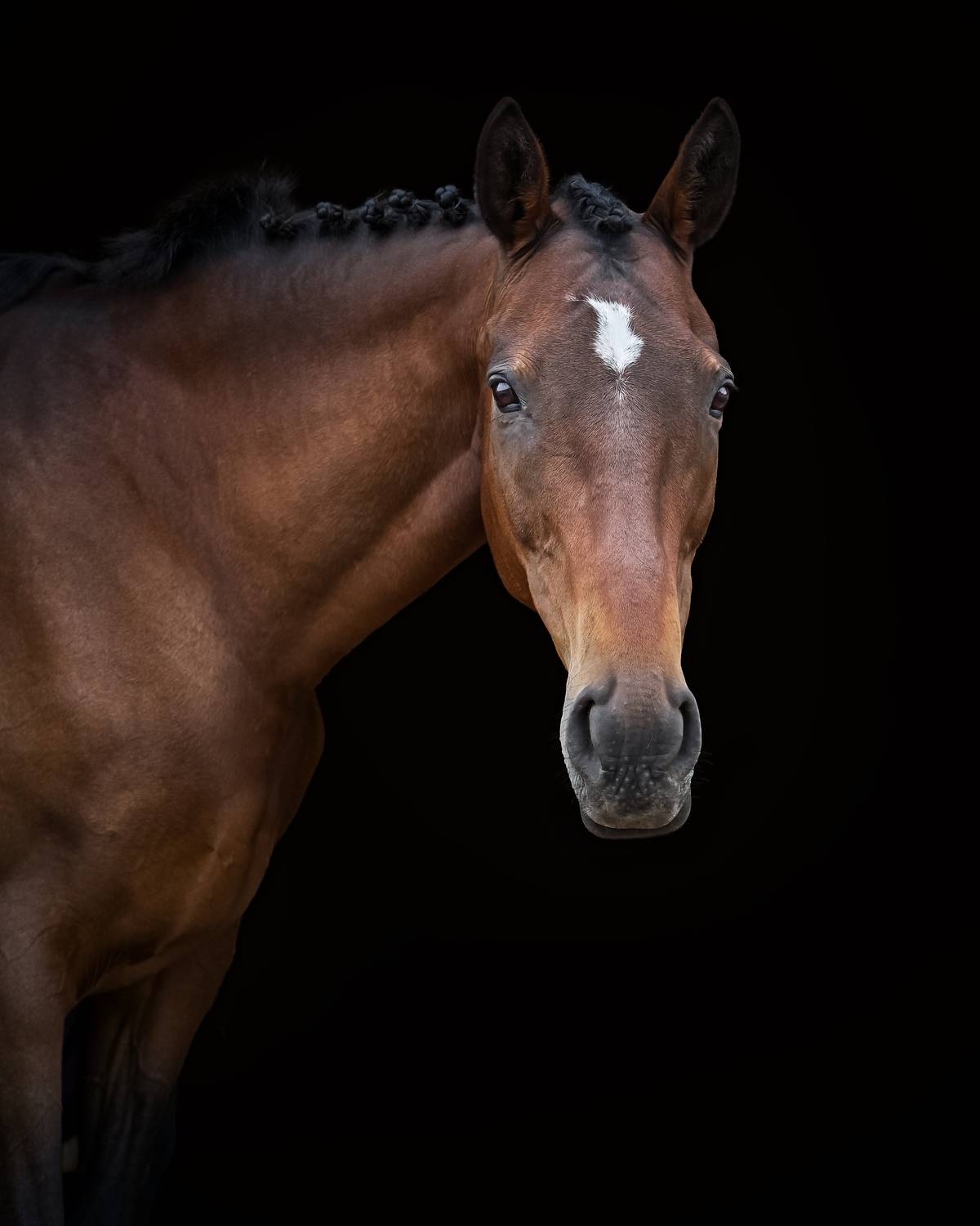 Фотография #12781314