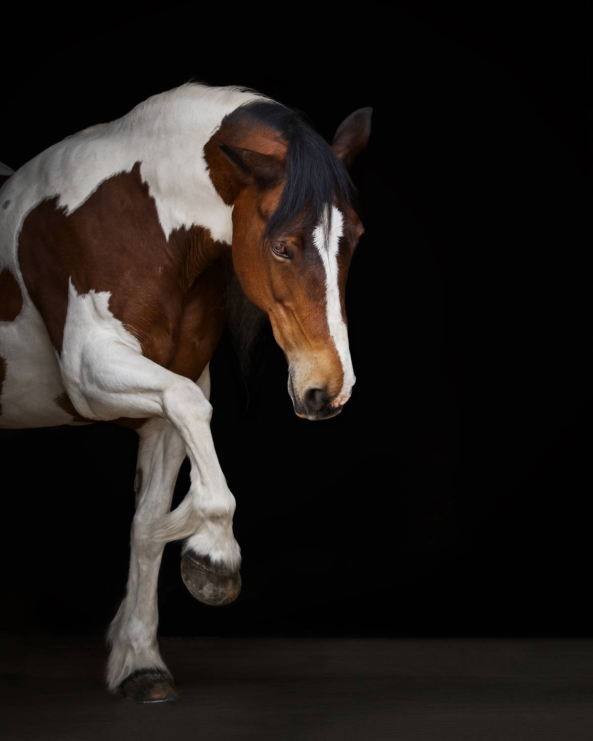 Фотография #12781316