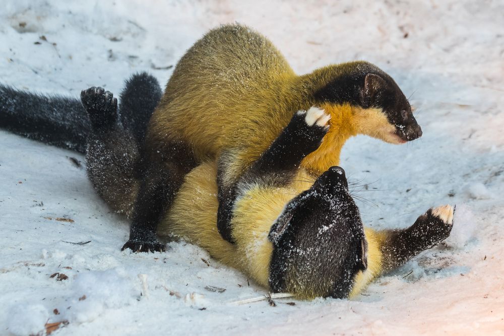 Photograph by Татьяна Гладкова