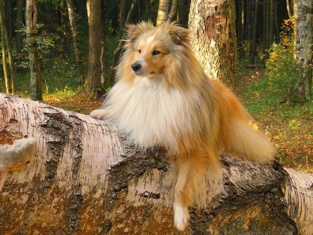 Photograph by Валерия Яскович