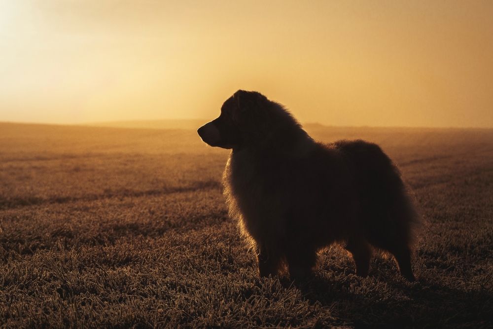 Photograph by Милана Маллер