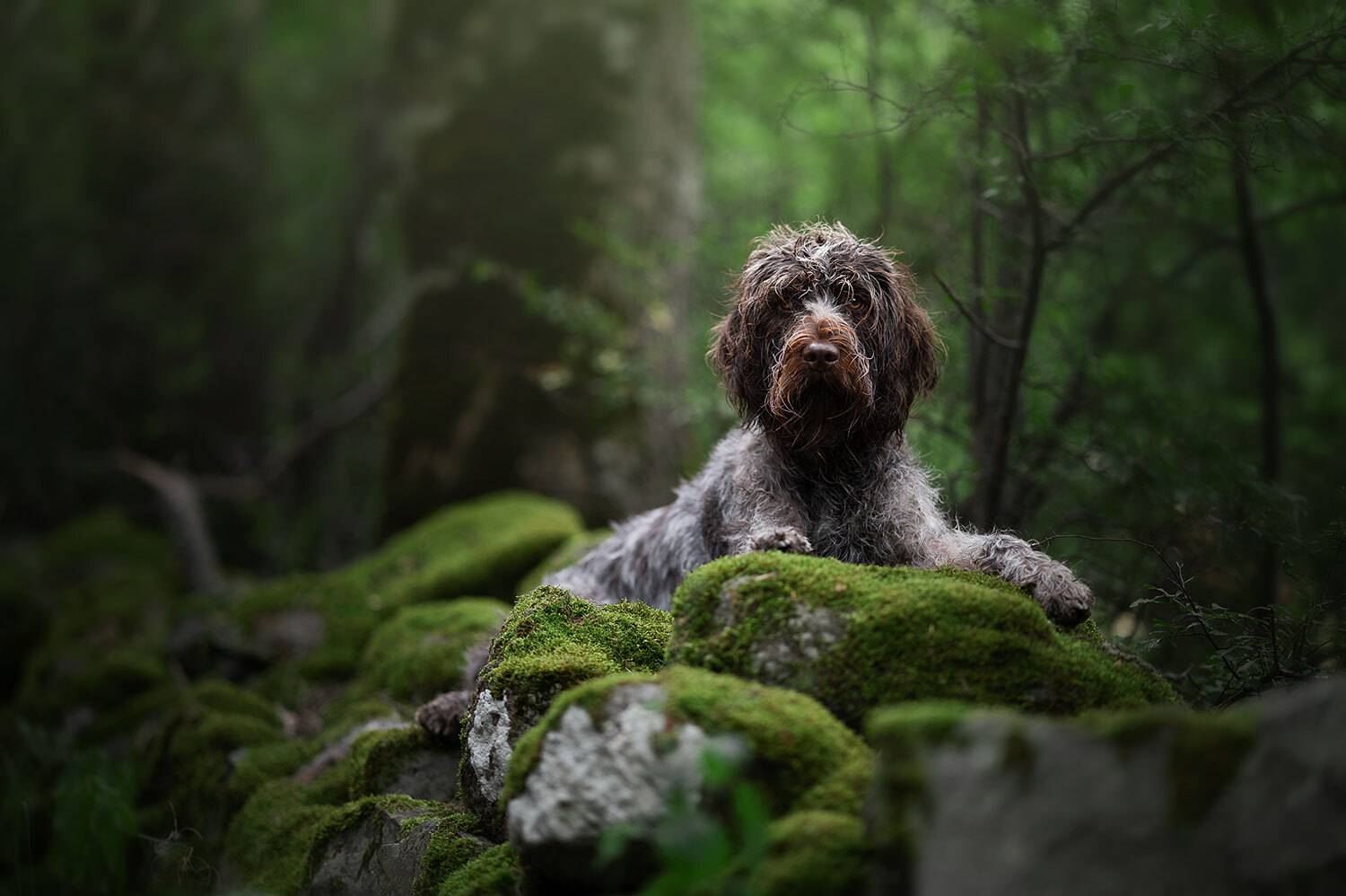 Фотография #12781341