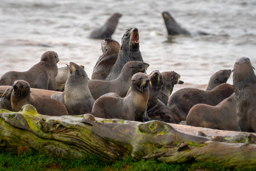Photograph by Илья Труханов