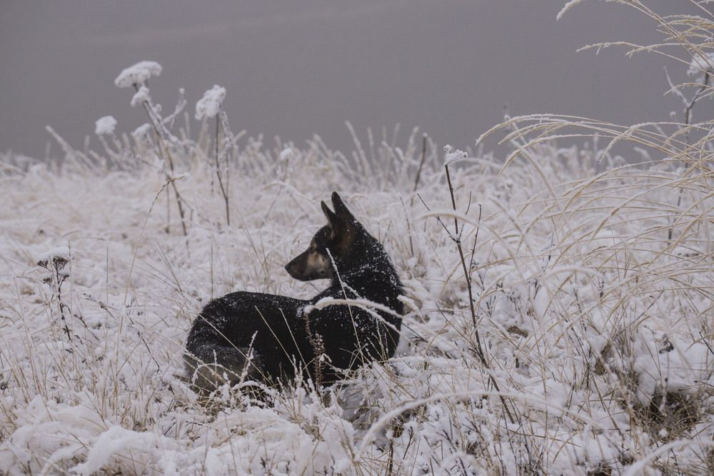 Photograph by Елена Перминова